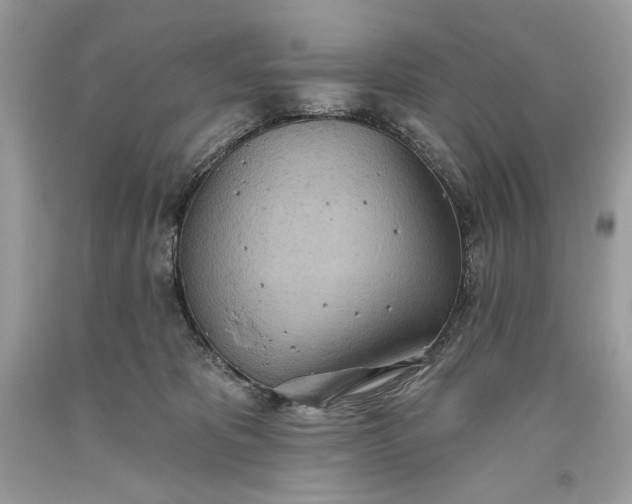 X0000093520325200710261225