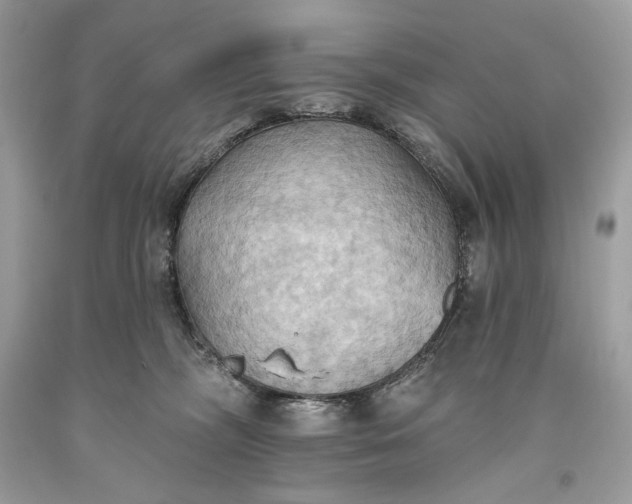 X0000093520326200710261225