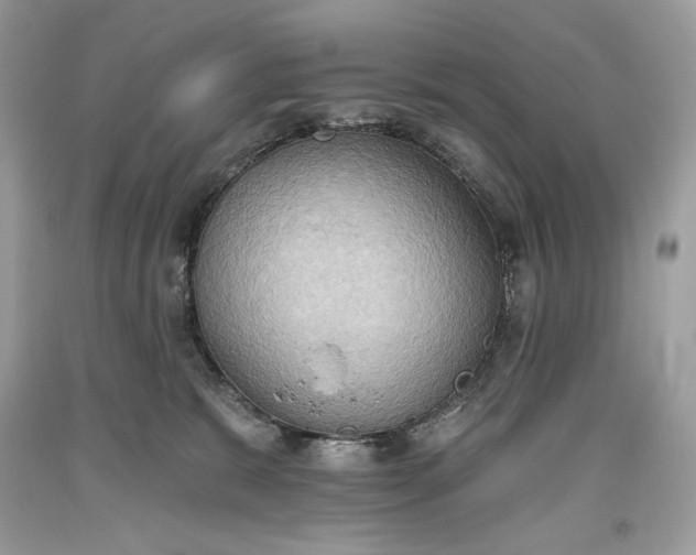 X0000093520327200710261225