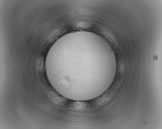 X0000093520328200710261225