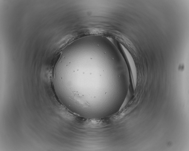 X0000093520329200710261225