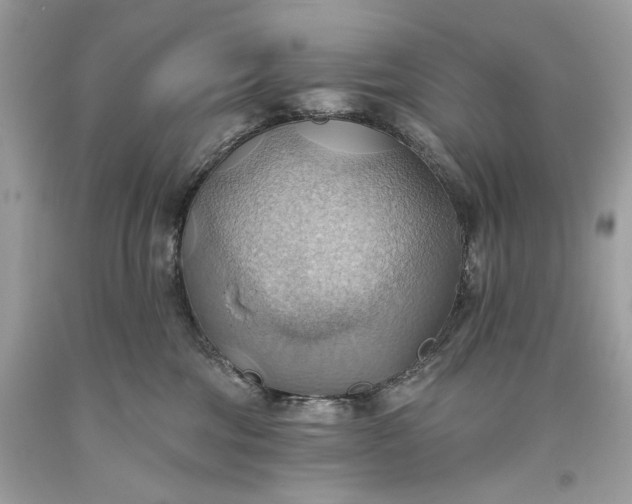 X0000093520330200710261225