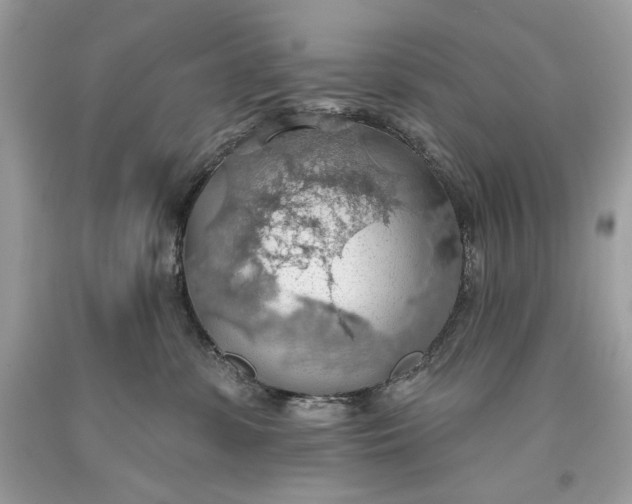 X0000093520331200710261225