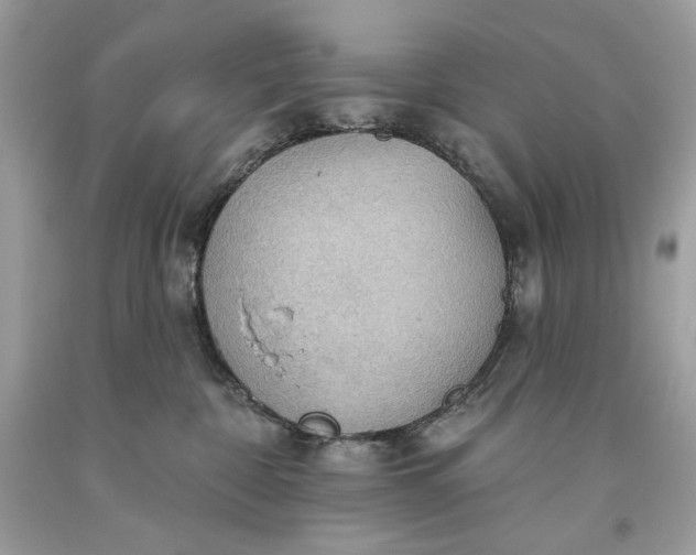 X0000093520332200710261225