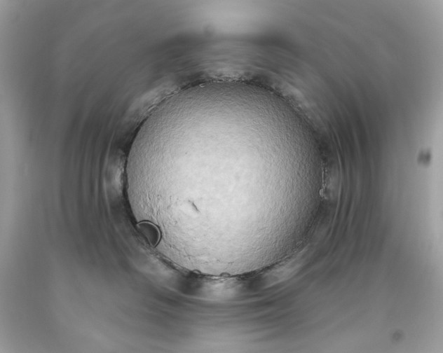 X0000093520334200710261225