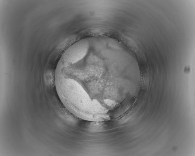 X0000093520335200710261225