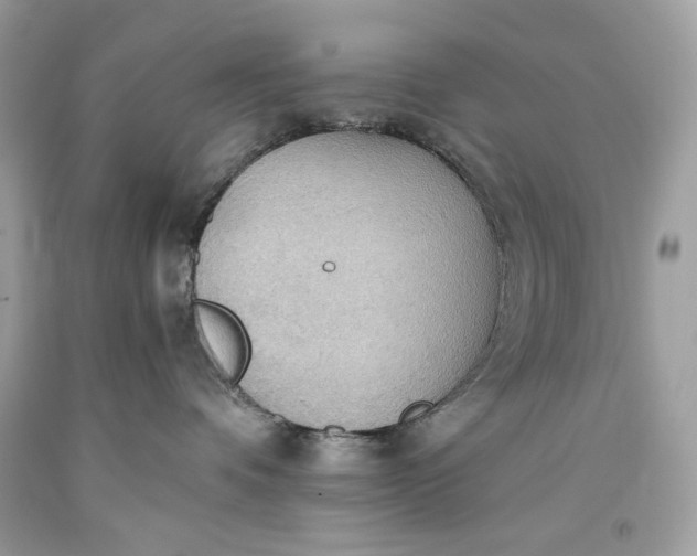 X0000093520336200710261225