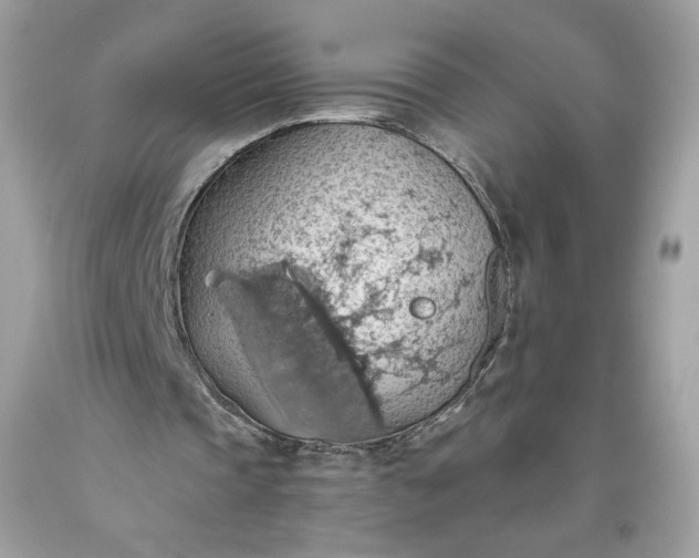 X0000093520337200710261224