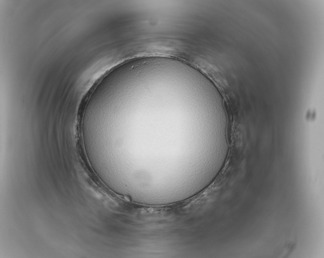 X0000093520338200710261224