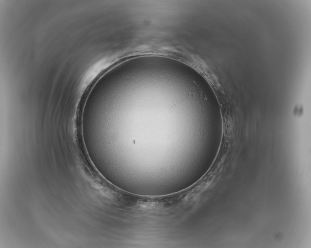 X0000093520340200710261224