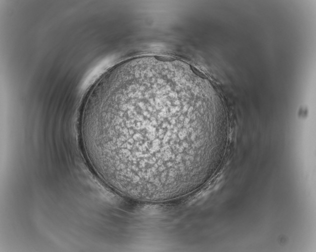 X0000093520341200710261224