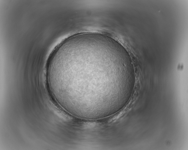 X0000093520342200710261224