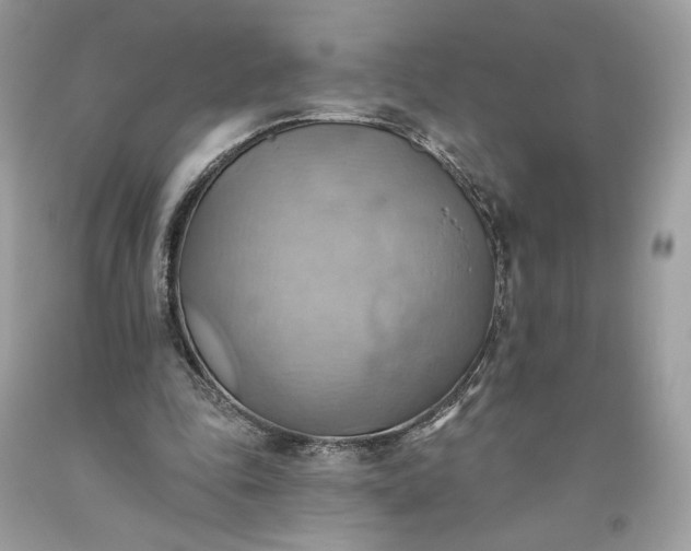 X0000093520343200710261224