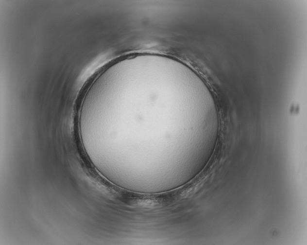 X0000093520344200710261224