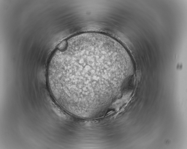 X0000093520345200710261224