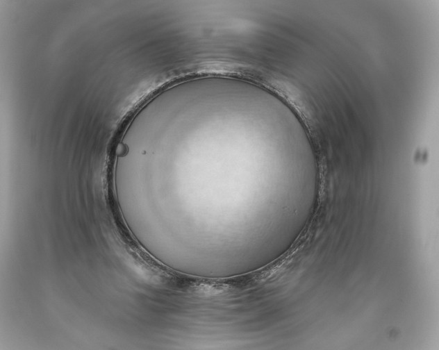 X0000093520346200710261224