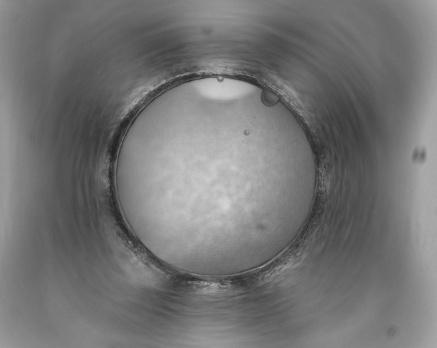 X0000093520347200710261224