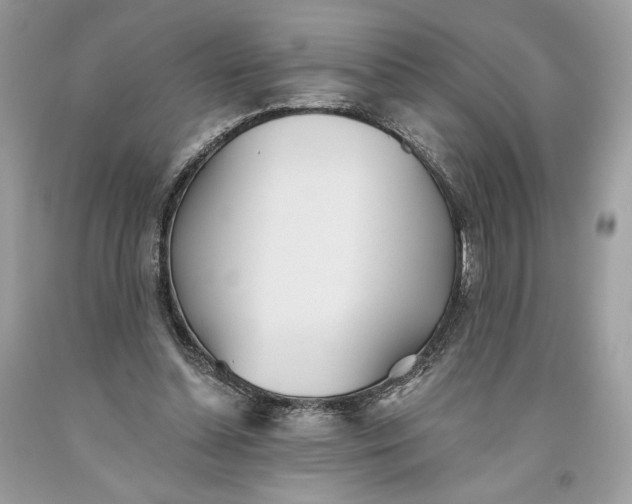 X0000093520348200710261224