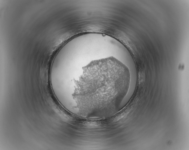 X0000093520349200710261224