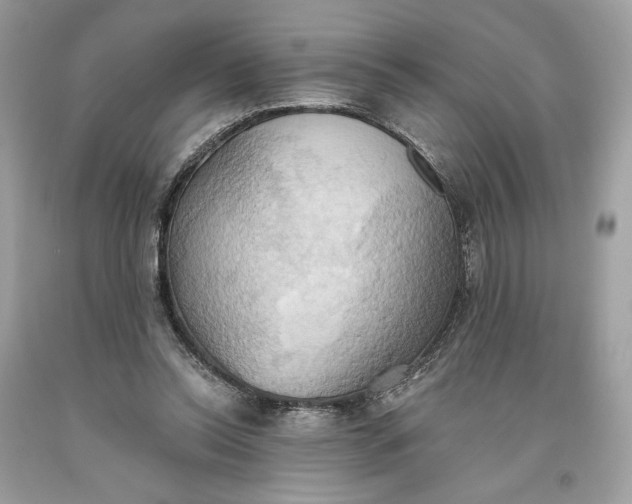 X0000093520350200710261224