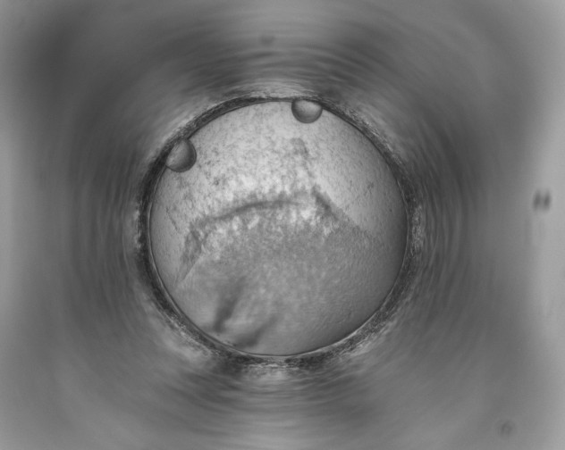 X0000093520351200710261224