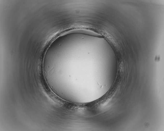 X0000093520352200710261224