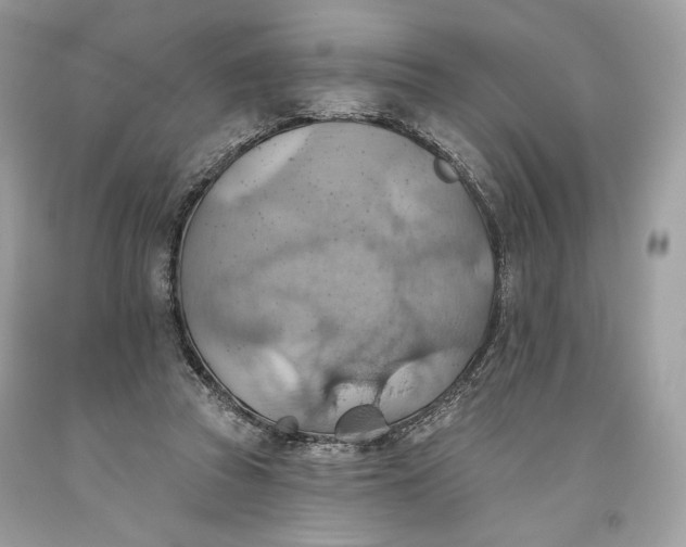 X0000093520353200710261224