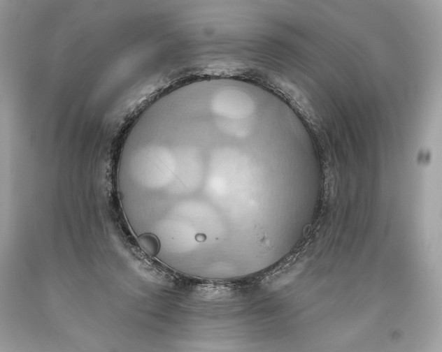 X0000093520354200710261224