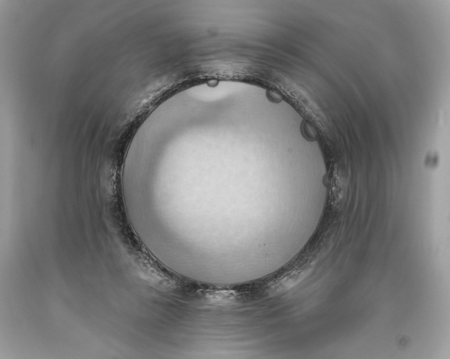 X0000093520355200710261224