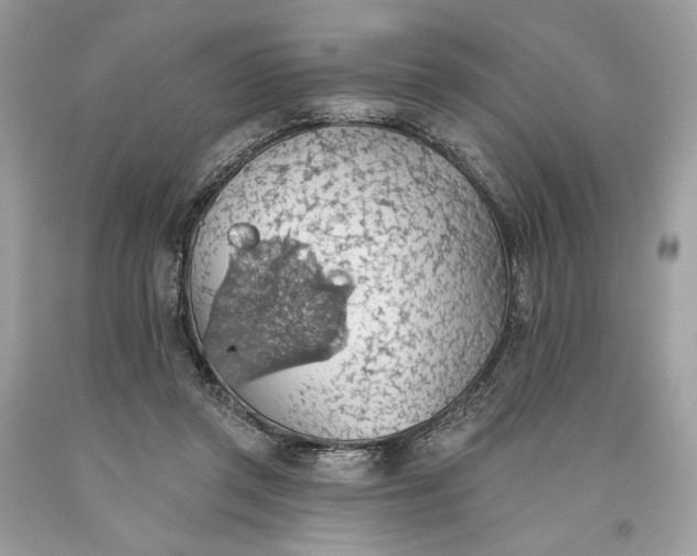 X0000093520357200710261225