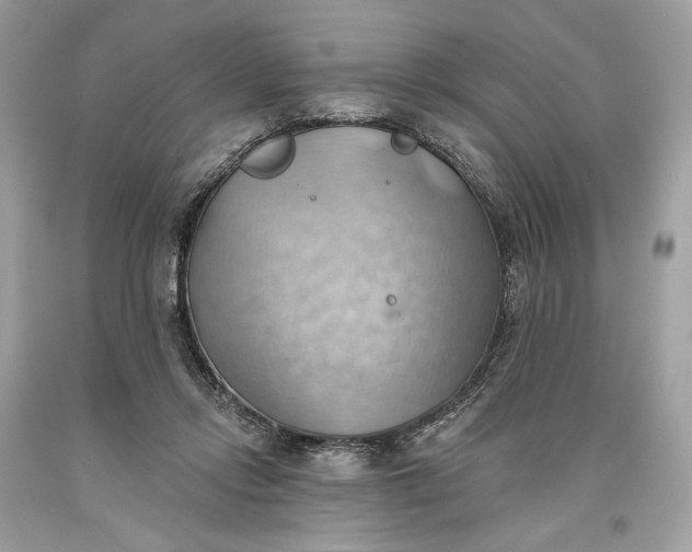 X0000093520358200710261225