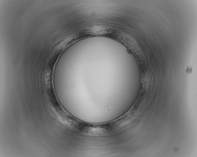 X0000093520360200710261225