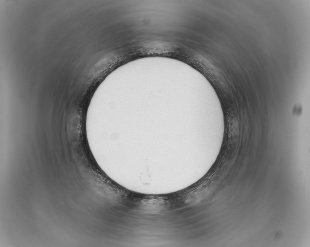 X0000093520362200710261225