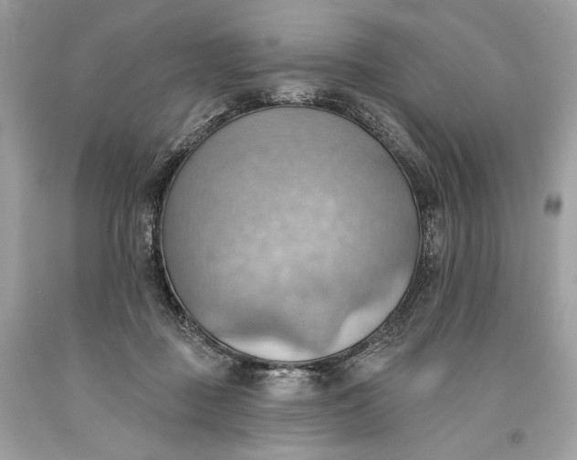 X0000093520363200710261225