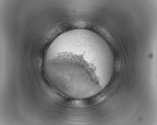 X0000093520365200710261225