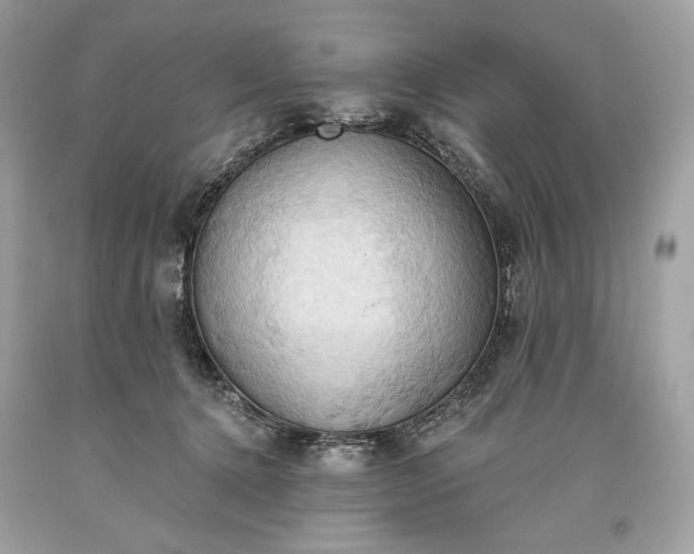 X0000093520368200710261225