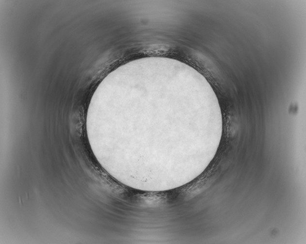 X0000093520370200710261225