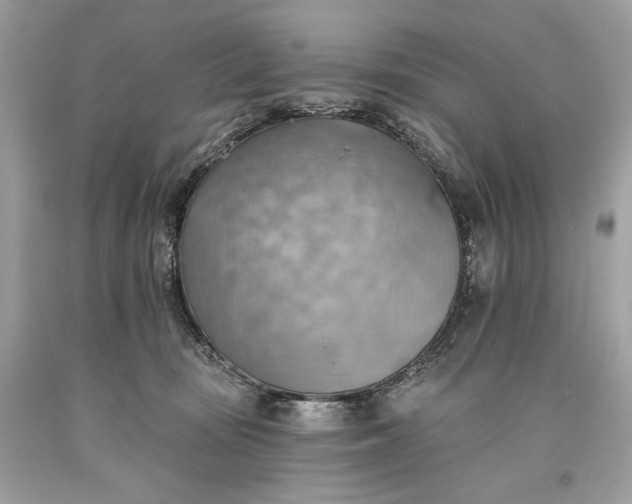 X0000093520371200710261225