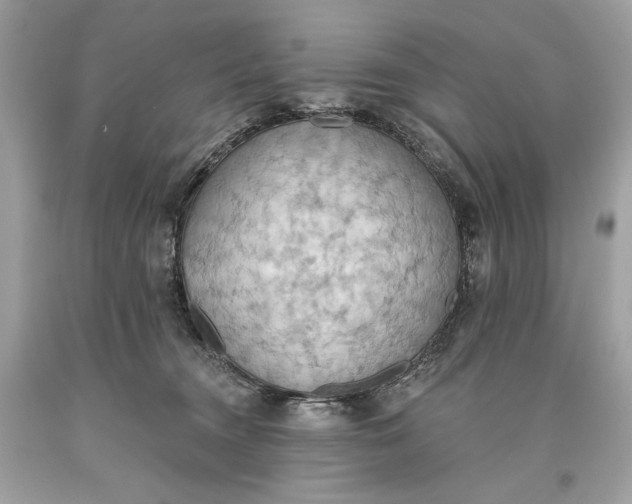 X0000093520372200710261225