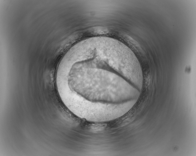 X0000093520373200710261225