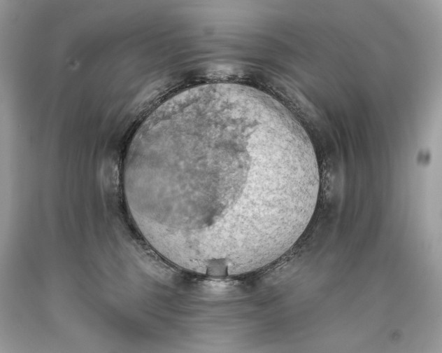 X0000093520375200710261225