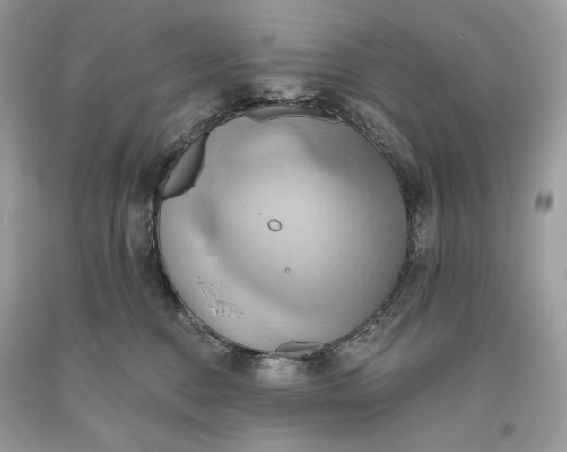 X0000093520376200710261225