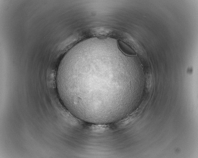 X0000093520378200710261225