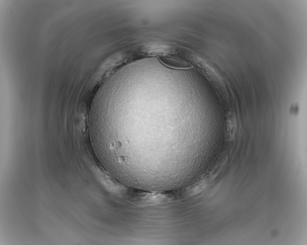 X0000093520379200710261225