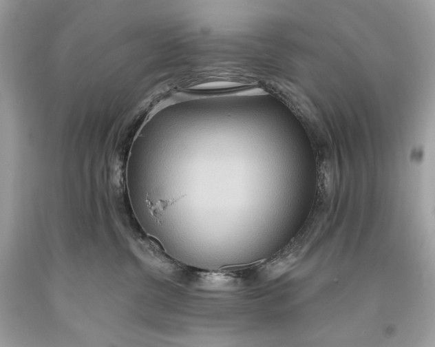 X0000093520380200710261225