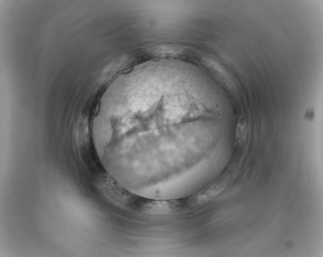 X0000093520381200710261225