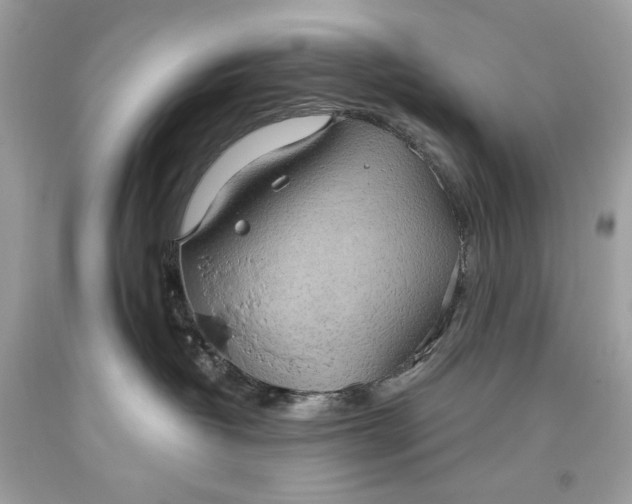 X0000093520382200710261225