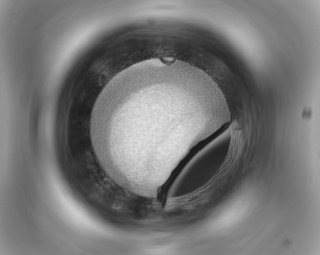 X0000093520383200710261225