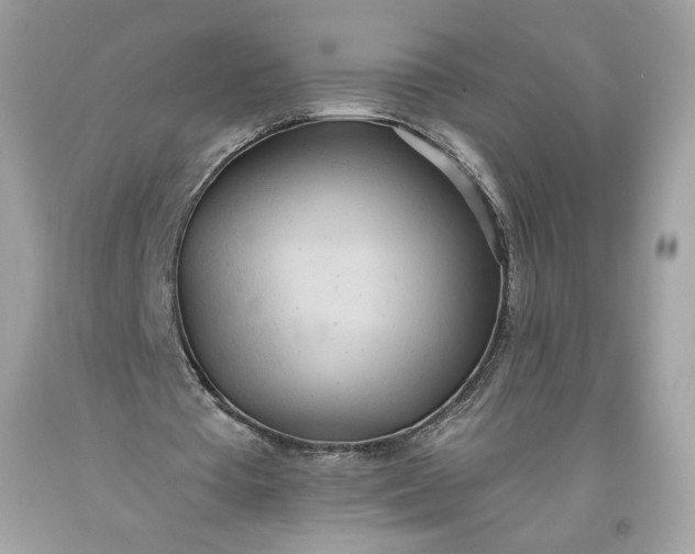 X0000093520385200710261224