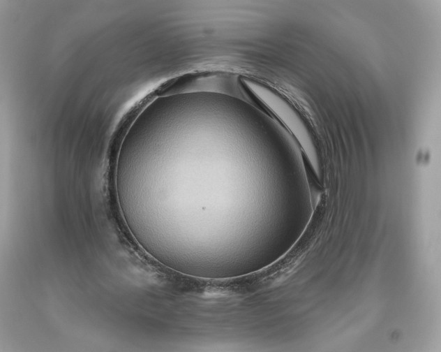 X0000093520388200710261224